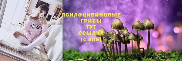 меф Абаза