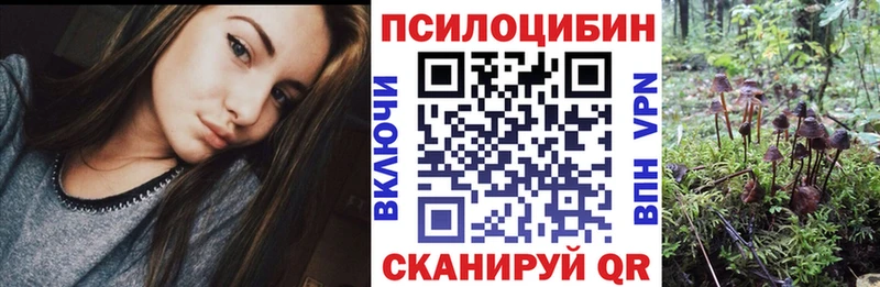 Псилоцибиновые грибы Psilocybe  mega как войти  Бирюсинск  сколько стоит 